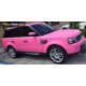 Vinil Rosa Brilhante 3M Scotchprint 1080 G103
